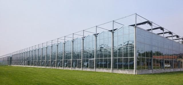 Стеклянная теплица VENLO