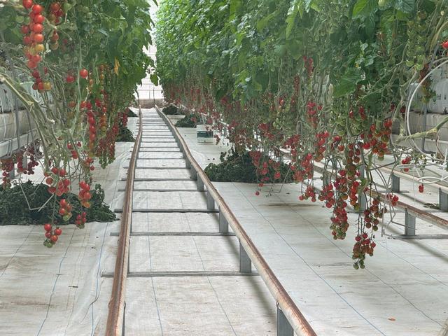 Подвесная система посадки